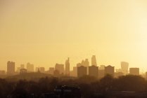 Bandada de aves frente al horizonte en la luz de la mañana, Londres, Reino Unido - foto de stock