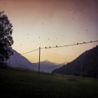 Italien, Lombardei, Berge, Almen und Vögel bei Sonnenuntergang — Stockfoto