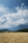 Germania, distretto di Costanza, coltivazione a Hegau, atmosfera tempestosa — Foto stock