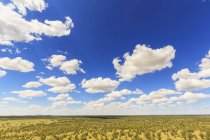 Namibia, Parco nazionale di Etosha, vista sulla steppa durante il giorno — Foto stock
