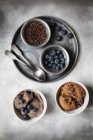 Bowls of vegan blueberry banana and chocolate banana ice cream — Stock Photo