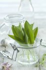 Foglie di ramson fresche in vaso — Foto stock