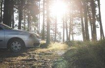 Car in the woods during daytime, bulgaria — Stock Photo