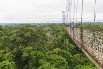Вид збоку туриста на підвісний міст над тропічними лісами — стокове фото