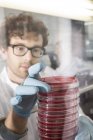 Wissenschaftler arbeiten im Labor mit Bakterienkulturen — Stockfoto