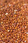 Primer plano de semillas de quinua crudas en montón - foto de stock