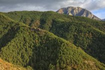 Spagna, Parco Nazionale dell'Ordesa, paesaggio montano con foresta — Foto stock