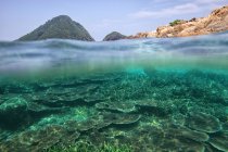 Scenic view of coral reef at daytime, Tioman Island, South China Sea, Malaysia — Stock Photo