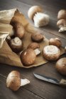Свежие грибы с коричневой бумагой — стоковое фото