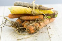 Different sorts of organic carrots — Stock Photo