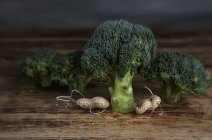 Manichini di arachidi accovacciati sotto l'albero di broccoli — Foto stock