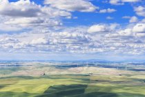 США, Айдахо, Палуза, Ветропарк и зерновые поля — стоковое фото