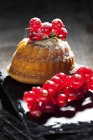 Mini Gugelhupf ripieno di ricotta e crema di formaggio guarnito con ribes rosso — Foto stock