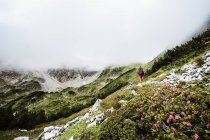 Austria, Altenmarkt-Zauchensee, Basso Tauri, escursionismo giovane donna — Foto stock