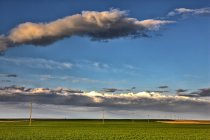Spagna, Provincia di Zamora, campo di grano e linee elettriche sull'erba — Foto stock
