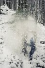 Germany, Bavaria, Berchtesgadener Land, snow falling on boy in woods — Stock Photo