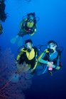 Oceano Pacifico, Palau, subacquei nella barriera corallina con il Gigante Corallo Fan — Foto stock