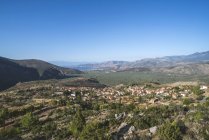 Grèce, Grèce centrale, oliviers à Delphes pendant la journée — Photo de stock