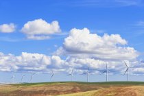 США, штат Айдахо, Palouse, вітер парку на поля зерна і хмарного неба — стокове фото