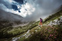 Austria, Altenmarkt-Zauchensee, Basso Tauri, giovane donna che cammina in montagna con fiori di campo — Foto stock