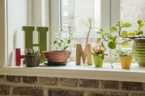 Davanzale con piante e lettere H e M all'interno — Foto stock