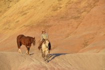 USA, Wyoming, cowgirl with two horses in badlands — Stock Photo