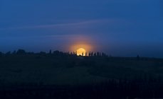 Itália, Toscana, Val d 'Orcia, moonset atrás de ciprestes — Fotografia de Stock