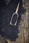 Black organic basmati rice with small shovel — Stock Photo
