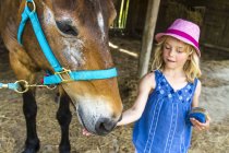 Little girl stroking horse — Stock Photo