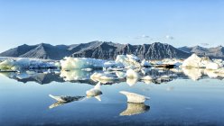 Islanda, Austurland, Joekulsarlon, Laguna dei ghiacciai e ghiaccio galleggiante — Foto stock