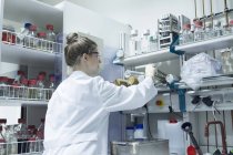 Bióloga femenina trabajando en laboratorio - foto de stock