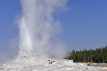 USA, Wyoming, Parco Nazionale di Yellowstone, Castello Geyser in eruzione — Foto stock