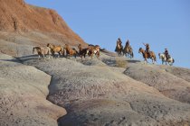Stati Uniti, Wyoming, cowboy e cowgirl che allevano cavalli nei calanchi — Foto stock