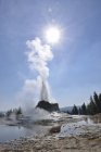 Usa, wyoming, Yellowstone-Nationalpark, Schloss Geysir Ausbruch — Stockfoto