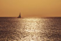 Caraïbes, Antilles néerlandaises, Bonaire, voilier sur l'océan au coucher du soleil — Photo de stock