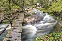 Deutschland, Baden-Württemberg, Holzbrücke über Struempfelbach im Winter — Stockfoto