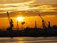 Silhouettes of harbour cranes at sunset, Koehlbrand bridge in background Hamburg, Germany — Stock Photo
