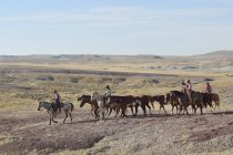 США, Вайомінг, ковбоїв і cowgirls провідні коней в badlands — стокове фото