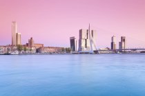 Vista sul ponte Erasmus e sullo skyline in serata, Rotterdam, contea di Holland, Paesi Bassi — Foto stock