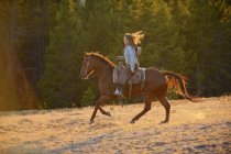 Соединенные Штаты Америки, Вайоминг, прогулка на ковбойщине — стоковое фото