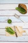 Bicchiere di pesto di ramson biologico, foglie fresche di ramson, grattugia di formaggio, coltello e parmigiano sulla superficie di legno, vista dall'alto — Foto stock