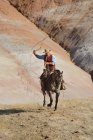 USA, Wyoming, Big Horn Mountains, riding cowboy swinging lasso — Stock Photo