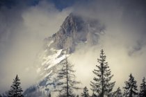Austria, Salzburg State, Maria Alm, mountain in fog — Stock Photo