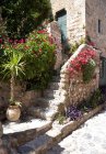 Vista detallada de la casa con flores en el casco antiguo, Monemvasia, Grecia - foto de stock