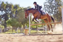 Young woman on horse crossing obstacle on course — Stock Photo