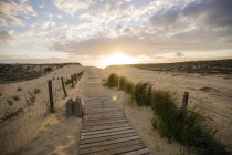 Francia, Lacanau, paseo marítimo de madera en las dunas de la playa al atardecer - foto de stock