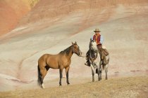 Male cowboy with two horses in badlands — Stock Photo
