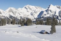 Швейцария, кантон Санкт-Галлен, Тойбург, Санкт-Галлен, Вид на Сантис зимой с деревьями и камнями — стоковое фото