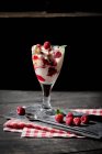 Скло Бурбон ванільний льоду з гарячим Малина, шоколадним соусом — стокове фото