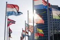 Нідерланди, Роттердам, різних прапорів проти сонця — стокове фото